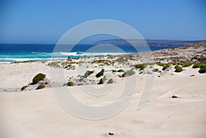 Rolling Dunes & Blue Ocean, Eyre Peninsula