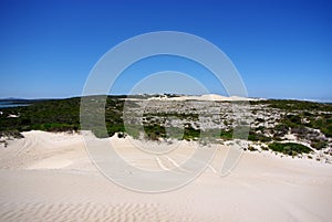 Rolling Dunes & Sandy Tracks, Eyre Peninsula