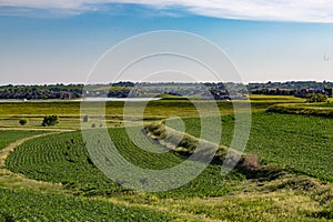 Rolling field of Young corn field somewhere in Omaha Nebraska