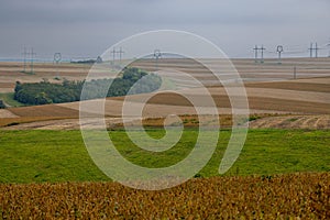 Rolling Fields in Harmony