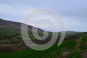 Rolling Fields and Hills on the Dingle Peninsula in Ireland