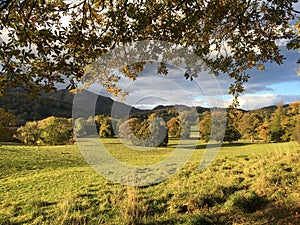 Rolling fields in the Lake District