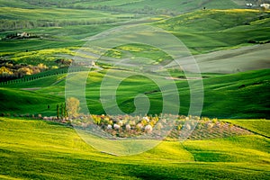 Rolling fields in Tuscany