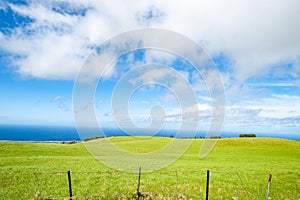 Rolling green farmland above coastline under blue sky with puffy white clouds