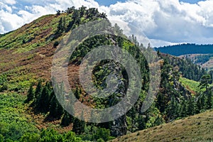 rolling green field of hillside grass and colorado rocky mountains