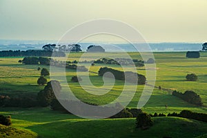 Rolling green hills of Camperdown view from top of Black Hill lookout at sunset photo