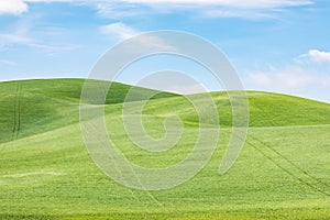 Rolling green wheat fields in the Palouse hills