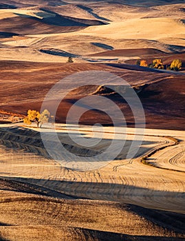 Rotolamento colline 