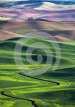 Rolling hill and Farm Land