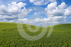 Rolling hill landscape