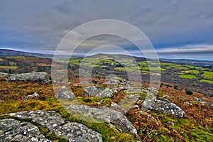 Rolling hills in Devon