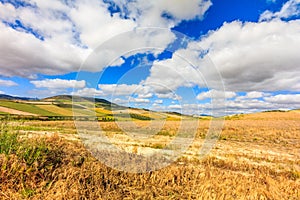 Rolling hills and farmland