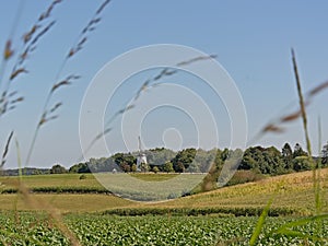 Rolling hills of flemish ardennes with historic windmill, framed by blurry flowering grass halms