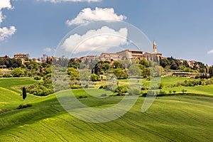 Rolling hills in front of Pienza