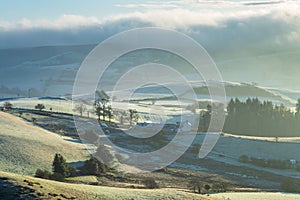 Rolling Hills at Frosty Morning