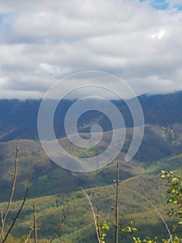 Rolling hills of Gatlinburg Tenn beautiful