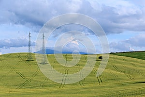 Rolling Hills and Grassland Landscapes with trees in Val d`Orcia, Tuscany, Italy