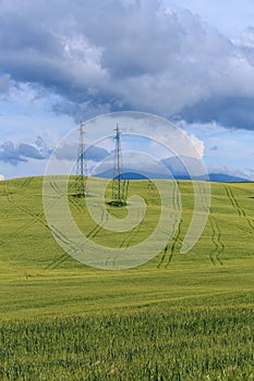 Rolling Hills and Grassland Landscapes with trees in Val d`Orcia, Tuscany, Italy