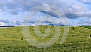 Rolling Hills and Grassland Landscapes with trees in Val d`Orcia, Tuscany, Italy