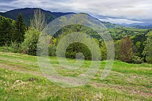 rolling hills, green fields, and majestic mountains