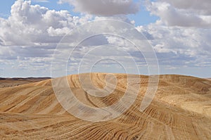 Rolling Hills of Harvested Wheat