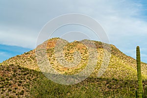 Rolling hills in the mountains of tuscon arizona in sabino national park and the cliff sides of mission view trail