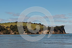 Rolling hills at Shakespear Regional Park