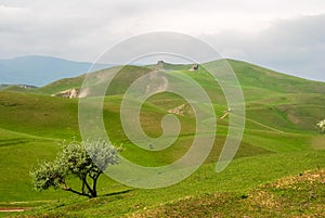 Rolling hills in Siyazan district of Azerbaijan