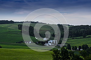 Rolling Hills in Summer in Amish Country, Ohio