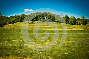 Rolling hills in summertime photo