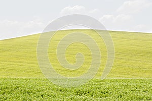 Rolling Hills in Val dOrcia