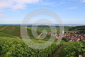 Rolling hills of vineyards in Alsace