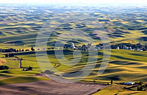 Rolling hills in Washington state at Palouse