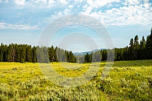 Rolling Hills of Yellowstone On The Way to Wrangler Lake