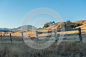Rolling landscape in Napa Valley, California