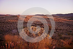 Rolling landscape in The Pilbara