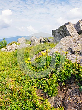 rolling landscape of runa mountain photo