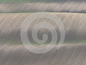 Rolling ploughed fields