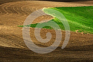 Rolling Plowed Field on Farm with Furrow Marks and Rows Texture