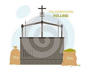 Rolling process in tea production