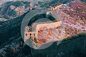 Rolling and ruined greatwall with flowers