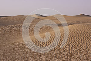 Rolling Sand Dunes in the Desert