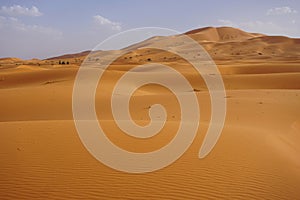 Rolling sand dunes in Sahara Desert