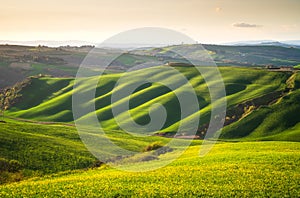 Rolling Tuscany hills in the golden hour