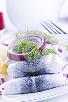 Rollmops on a plate