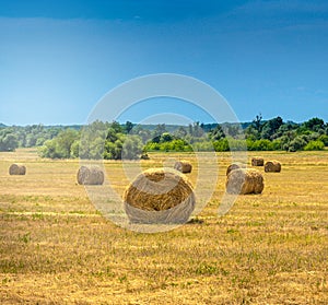 Rolls of bale straw on large field in summer in Devinska nova ves near Bratislava
