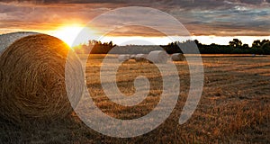 Rolls of bale straw on large field in summer during sunset in Bratislava