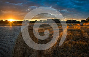 Rolls of bale straw on large field in summer during sunset in Bratislava