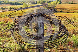 Rolls of barbed wire on fencepost, autumn