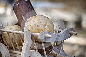 Rolls of cheese made from goat milk